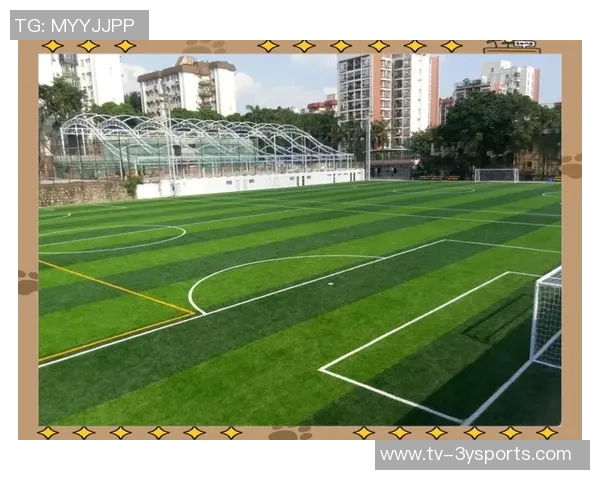 足球场半场尺寸的标准解析与实际应用探讨